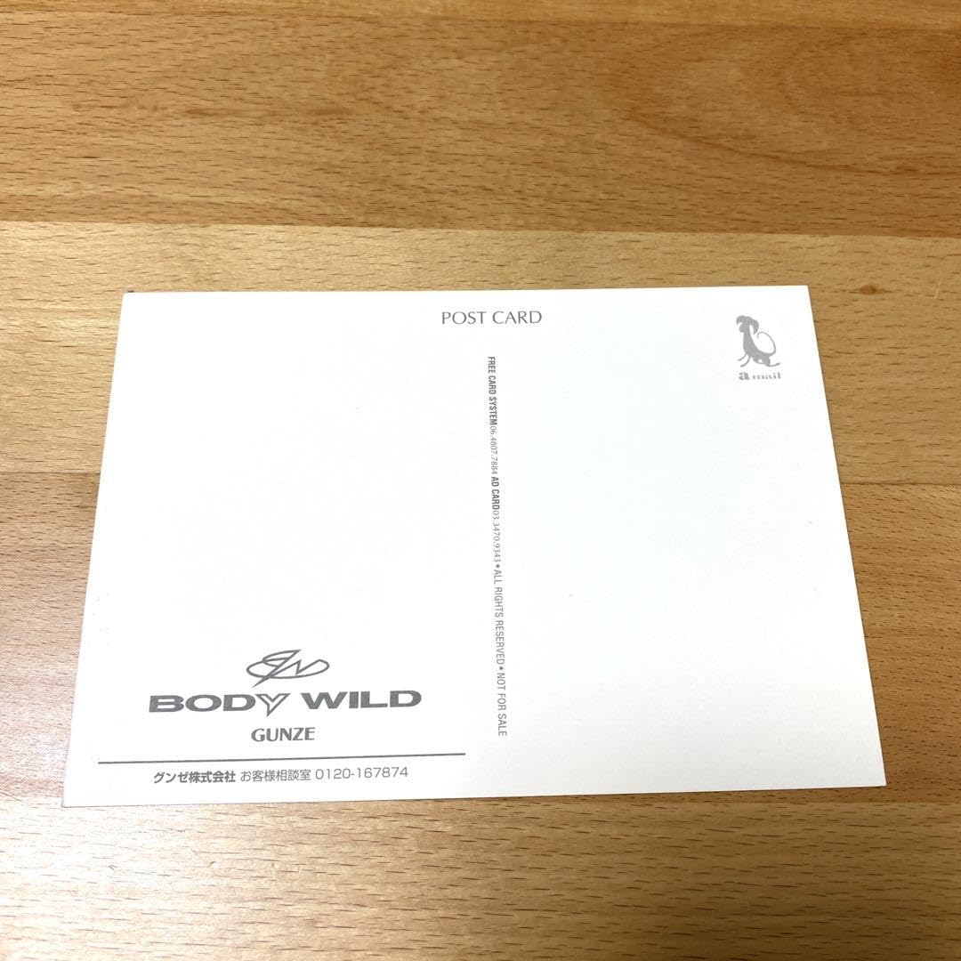 Amazon | 篠原涼子 ポストカード BODY WILD 篠原 涼子 | ポスト