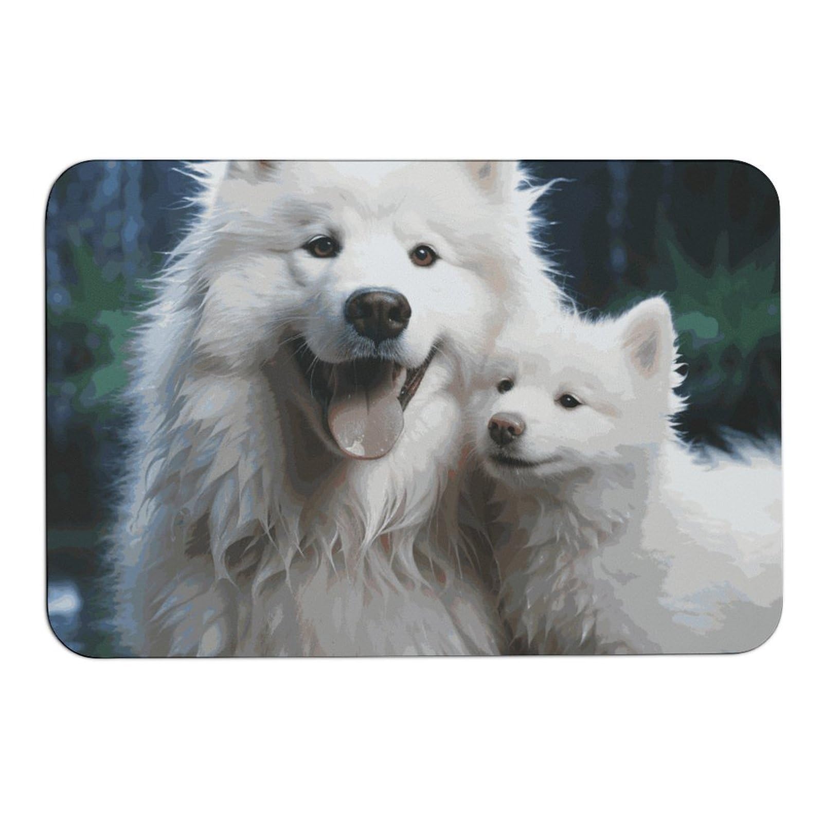 Tapis antidérapant absorbant l'eau 60 x 40 cm chien