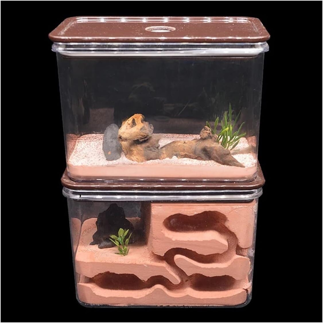 Stereoskopische Acrylbeobachtung Nest Ameisenburg aus Gips, Ameisenaufzuchtkasten, Betonhabitat, Ameisenhauskasten, Ameisenwerkstatt-Kit, Ameisenfütterungsvilla, geeignet for Kinder und Erwachsene, wi