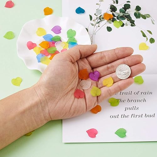 Miniatura 163 de Craftdady Dijes de cuentas de hojas de arce transparentes, colgantes colgantes de adorno para colgar, bonitos dijes para collares, pulseras, Hoja