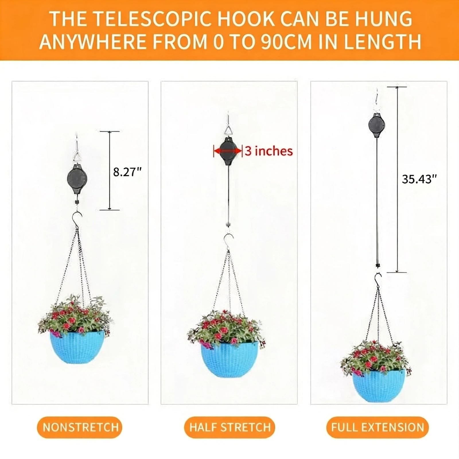 buy philodendron white princess Philodendron White Princess 4"  Kent East Hill Nursery