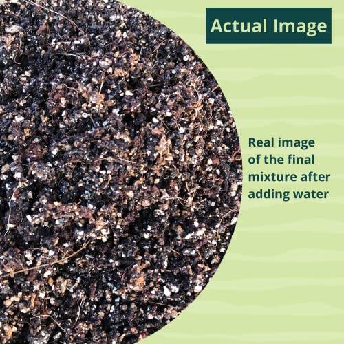 Bombay Greens ; Sow, grow, eat, repeat - 10Kg Soil Less 4 in 1 Potting Mixture - Cocopeat, Vermiculite, Neem Khad, Organic Fertilizer for Plants | Pot Mix for Home Gardening or Terrace Garden