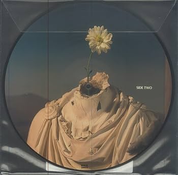 【USオリジナル】The Offspring / Splinter LPレコード The Offspring – Splinter – Vinyl (LP, Album), 2003 [r509315