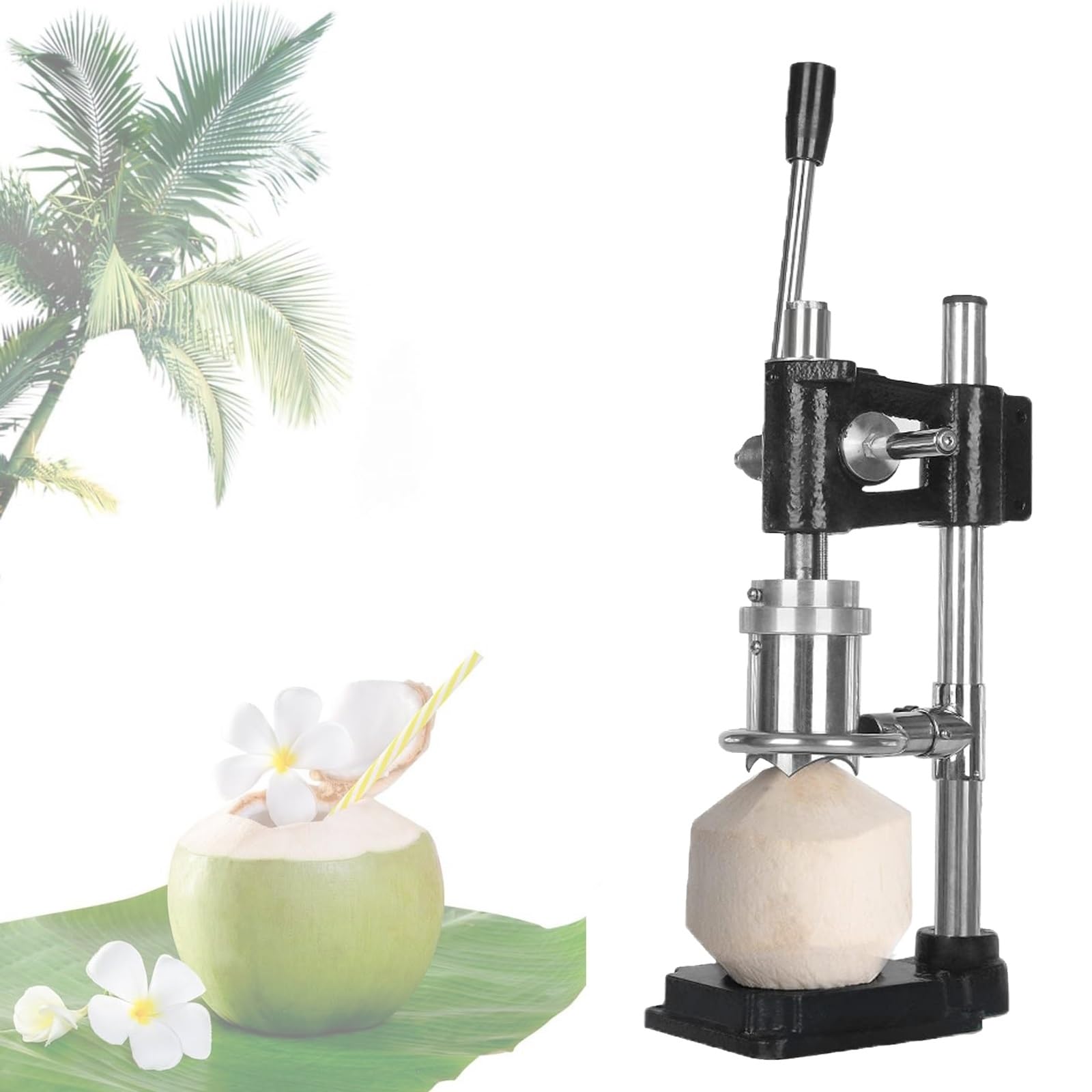 Machine noix de coco en acier inoxydable avec base de moulage pour jeune coco