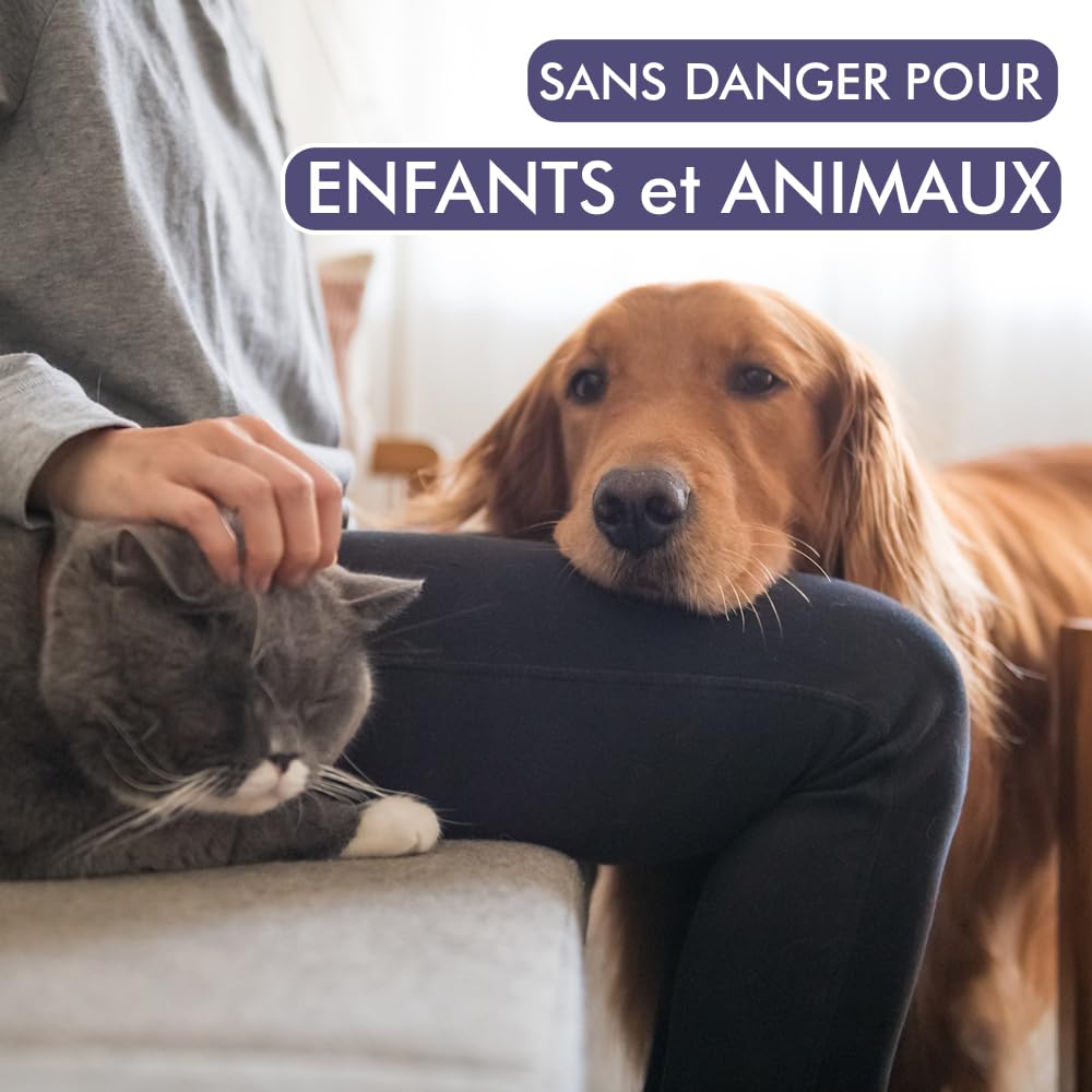 PEARSON Nettoyant Enzymatique Urine Chat et Chien Spray 700ML, Destructeur d'Odeur et Neutraliseur d'Odeur, Élimine Odeur Urine Chat et Chien, Spray Enzymatique Anti Odeur