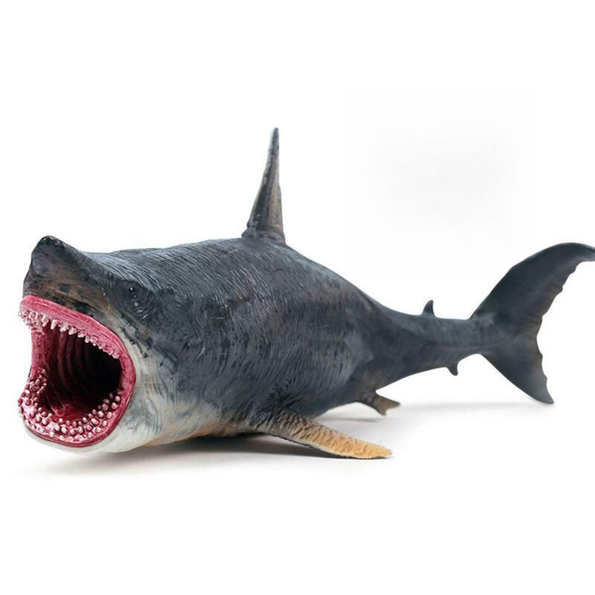 Realistic Big Size Ocean Shark Animal Toy for Kids 3+| Attractive Underwater Fish Animals Toys Action Figure for Boys and Girls Birthday Gift for Children Education & Table Top Decoration Item-image-42
