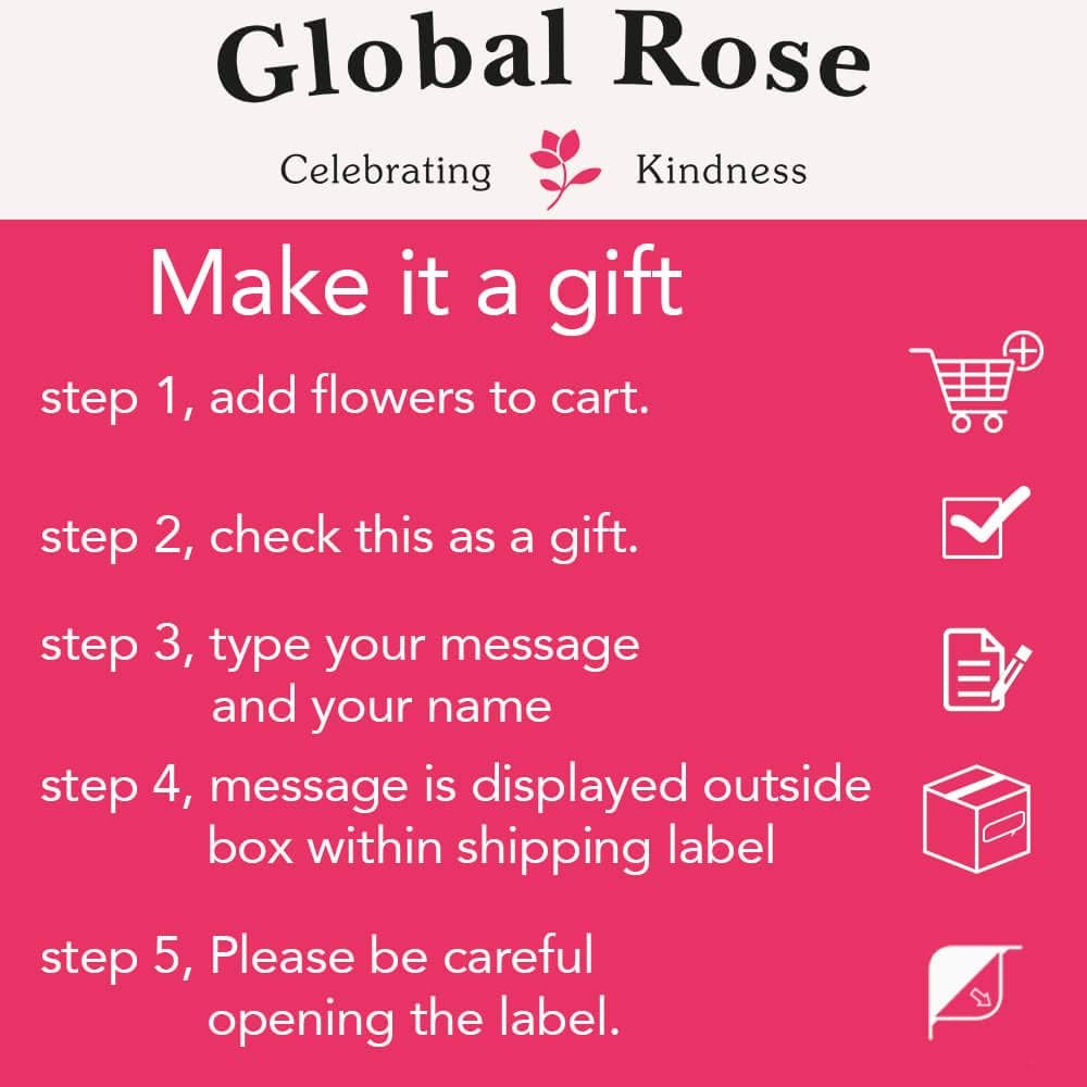 GlobalRose 100 Red Carnation Flowers - Responsibly Sourced Carnations Fresh Flowers - Hand-Picked Fresh Bouquet for Graduation, Anniversary, Birthday & Special Occasions (4 Bunches of 25 Stems)