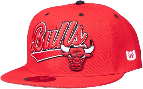 Ultra Game NBA Boys 8-20 Gorra de béisbol bordada 3D con logotipo del equipo