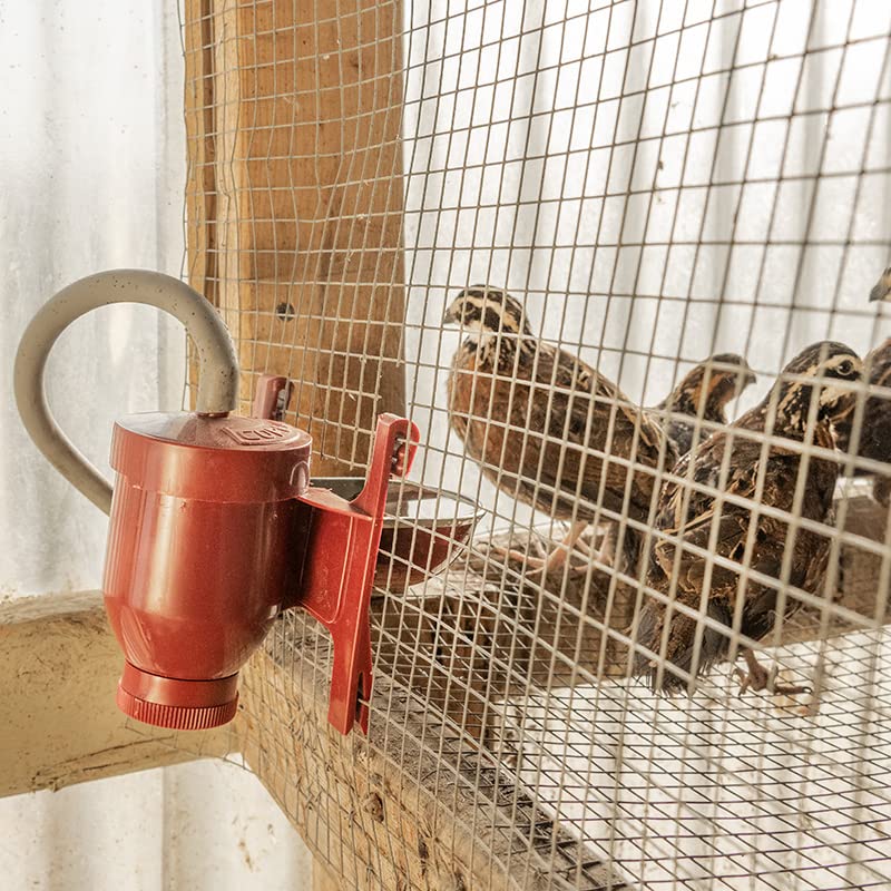 Premier 1 Automatic Red Float Poultry Waterer for Chickens & Birds