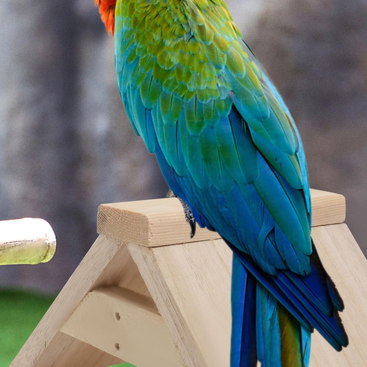 Gatuida 5 Stück Vogelstangen Taubenstand als Vogelsitz Beißfest und Dekorativ Geeignet für Tauben und Andere Vögel im Käfig