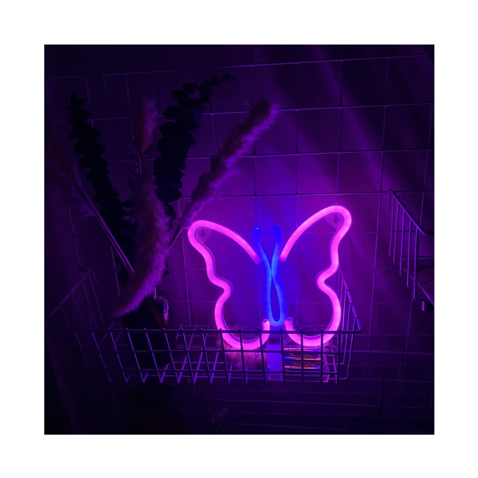 Horseneon Neonlichtbord met kat en maan, kat, neonbord voor katten