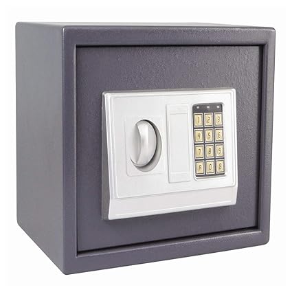 Electronic Safe/Safe Locker/Safe Box/Electronic Safe Lockers for Home and Office (310x200x200)