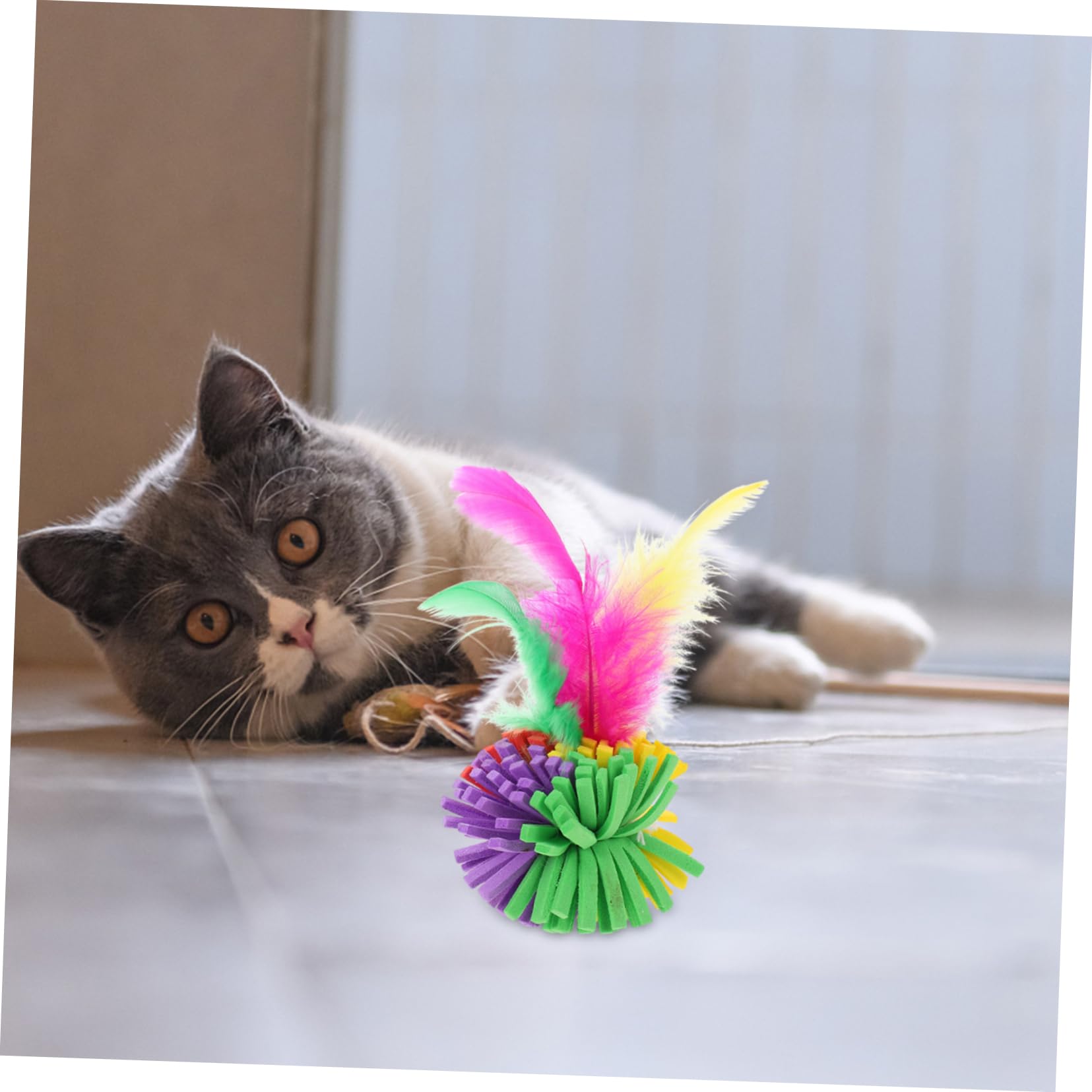 BESPORTBLE Lot de 2 Jouets Interactifs pour Chat Colorées pour Divertissement des Animaux de Compagnie 4 Pièces