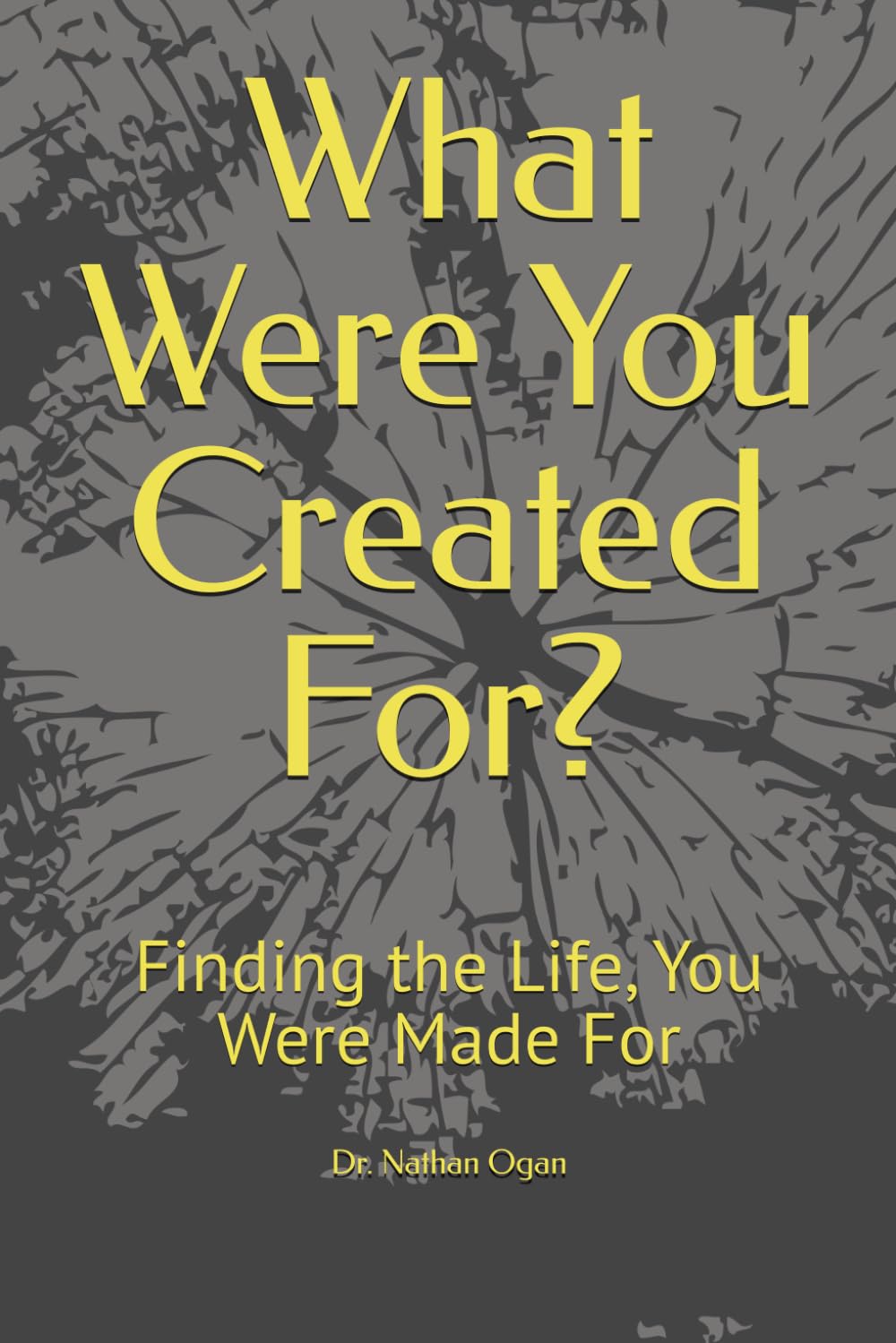 What Were You Created For?: Finding the Life, You Were Made For