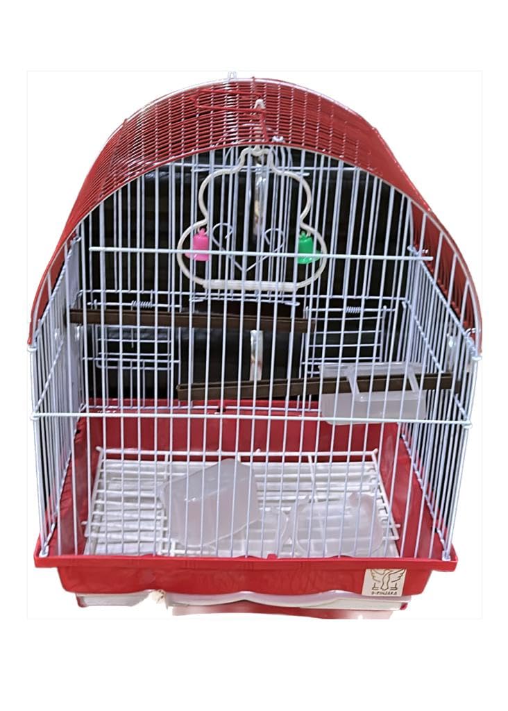 Buy Bird Cage for Budgies,Love Birds,Finches,Small Birds,Premium Cage