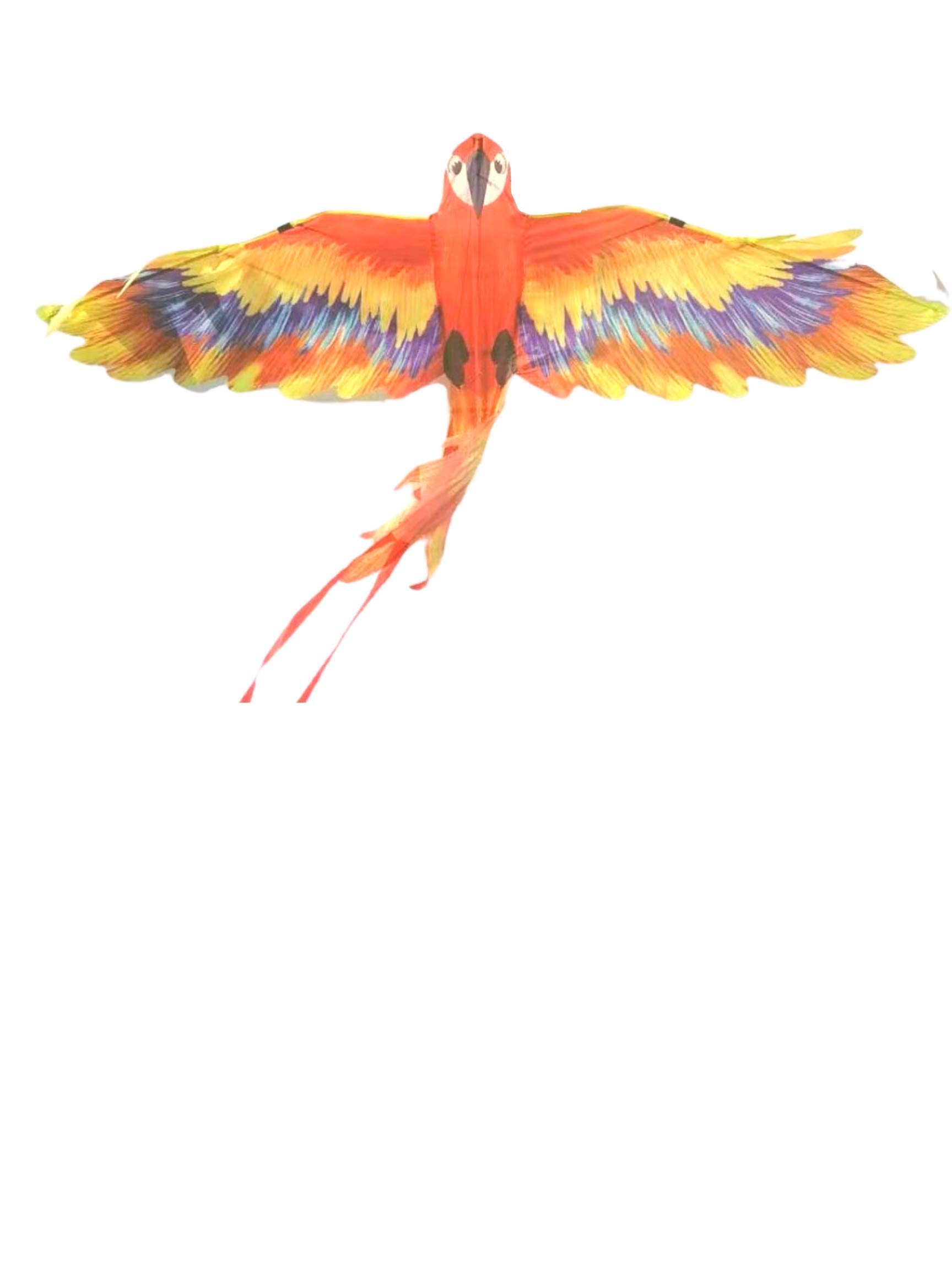 Large Mr. Macaw Kite for Kids and Adults | Best Beach Kite Easy to Fly for Outdoor Games and Activities | Best Social Distancing Sports and Recreation, Exercise and Enjoy Time with Family