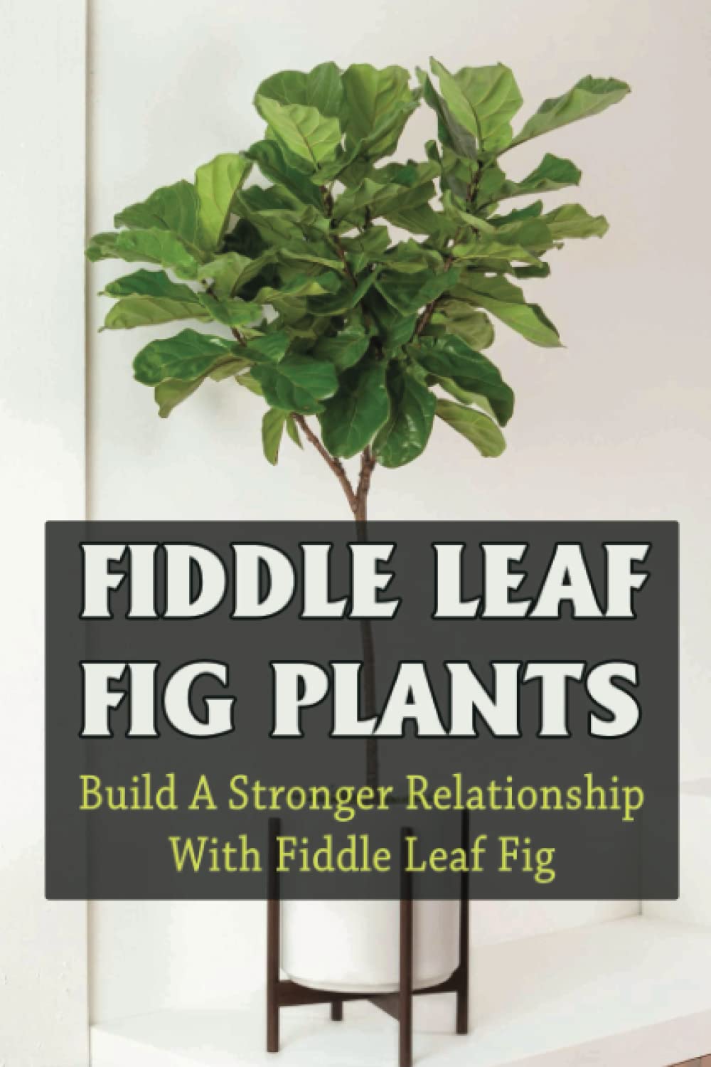 Fiddle Leaf Fig Plants: Build A Stronger Relationship With Fiddle Leaf Fig