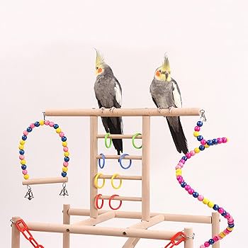 Costcogogoページ　バードアタック　バードジム Costcogogoページ バードアタック バードジム Costcogogoページ