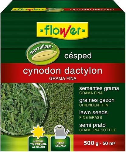 CYNODON DACTILON SEMILLA