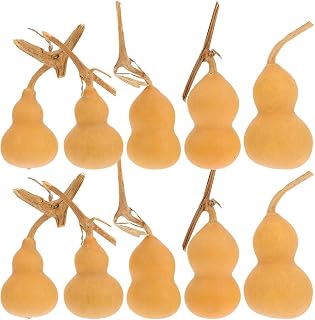 10Pcs Natural Gourd Mini Gourd Gourds Dried Gourds Crafts Gourd Ornaments Hu Lu Desktop Decor Original Dry Gourd Fortune Wu Gourd DIY Crafts Decor Calabash Adorns