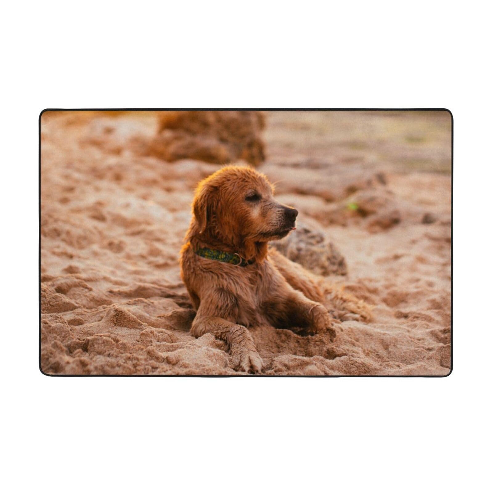 Tapis doux Retriever pour réchauffer l'ambiance de votre salon