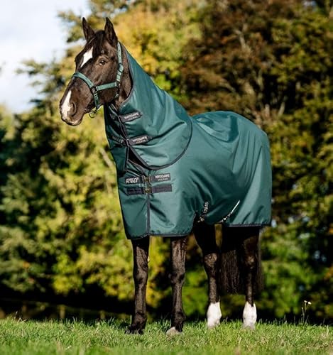 Horseware Amigo Ripstop 900D Plus Pony Turnout Blanket 100 g Dynasty Green/Navy & Silver, Blanket Size: 110 cm / 5'3