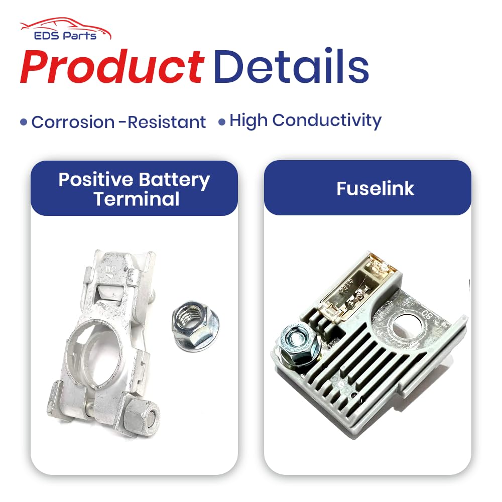 Amazon.com: EDS 82211AG150 80 Amp Fuse link & Positive Battery