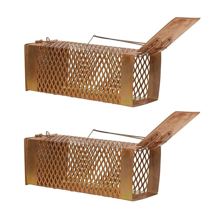 Image of Livshine Rat /Mouse /Rodent Small Trap Cage Rustic Copper (Diamond Trap Medium, 2)
