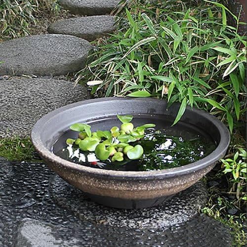 陶器　メダカ鉢・花鉢・花瓶（２１７） 陶器 メダカ鉢・花鉢・花瓶（217） 商品の説明陶器製のメダカ鉢花…