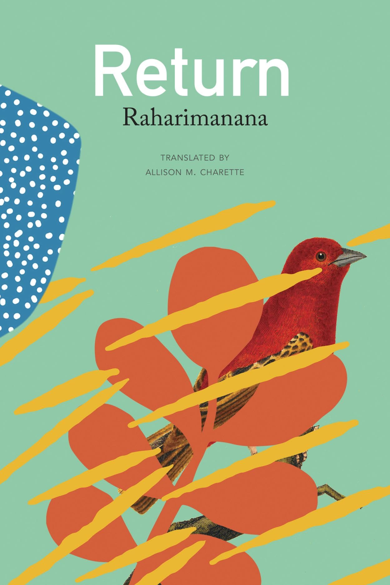 Return by Raharimanana Raharimanana, Allison M. Charette - 9781803094953