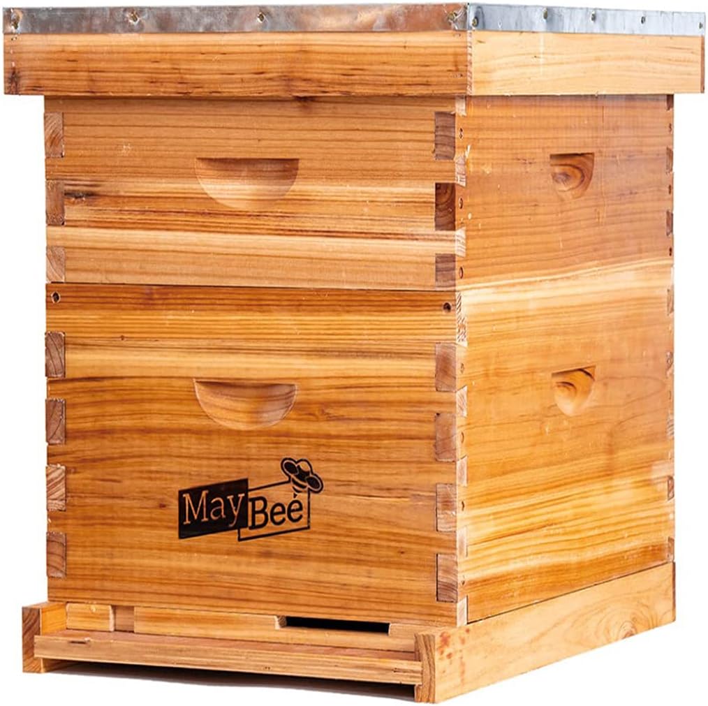 Beehive 10 Frame Bee Hives and Supplies Starter Kit, Bee Hive for Beginner, Honey Bee Hives Includes 1 Deep Brood Hive Box, 1 Bee Hive Super Box with Beehive Frames and Foundations