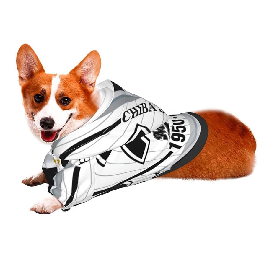 千葉犬 DOGE DAY 2024 ワンちゃん集まれ！11月2日(土)開催 | DIGITAL-STaD