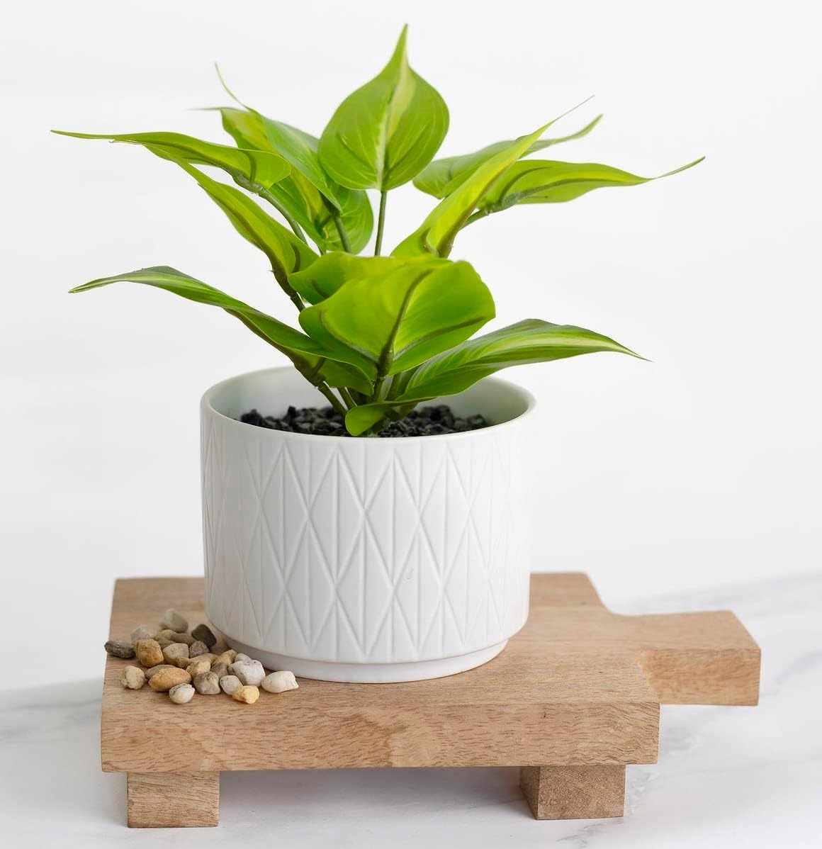 Kurrajong FarmhouseFaux Ivy Desk Plant - Artificial pothos Plant with White Ceramic Pot
