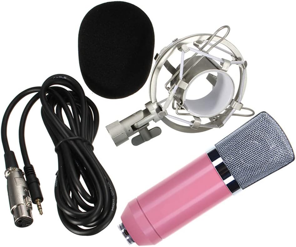 Duck-Billed Microphone for Computer/Laptop Heart-Shaped Directional Mic with Pickup for Broadcasting Microphone Metal