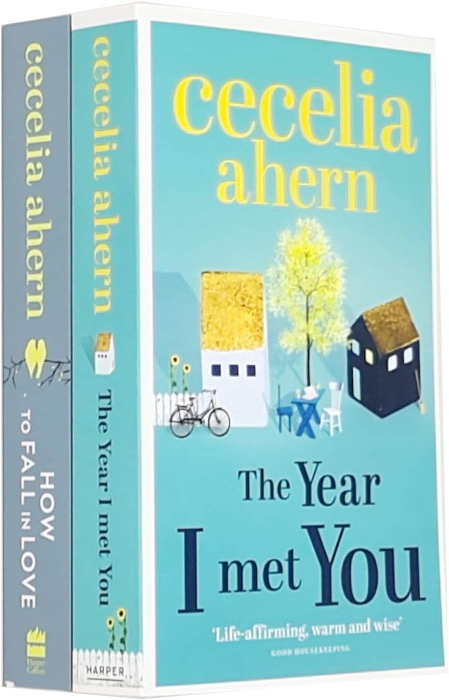 The Year I Met You & How to Fall in Love By Cecelia Ahern 2 Books Collection Set