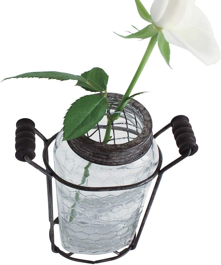 Time Concept Rustic Glass and Wire Flower Vase with Mesh Top - Small Jar with Handle - Floral Arrangement, Home Decor