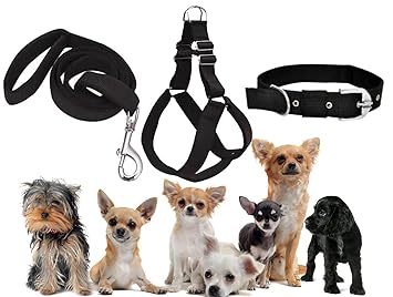 SENAPATI Small Dog Puppy Harness Adjustable, Belt and Collar Combo Set (Waterproof, Nylon) (Black, Small)