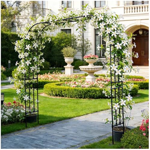 Arche de jardin en métal robuste et treillis pour plantes grimpantes d'extérieur