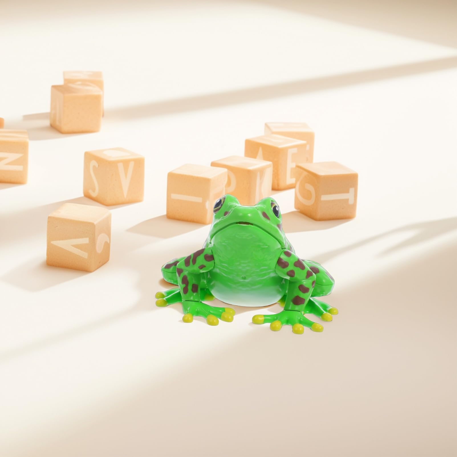 Grenouille Modèle Outils Pour Pour L'Aide À L'Étude D'Anatomie Grenouille Souvenirs Grenouille Anatomie Réplique Réaliste Grenouille Réaliste Grenouille 3D Puzzle Grenouille