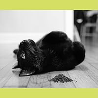 Vista 8 de Catnip, hierba gatera totalmente natural prémium (8 oz de corte fino)