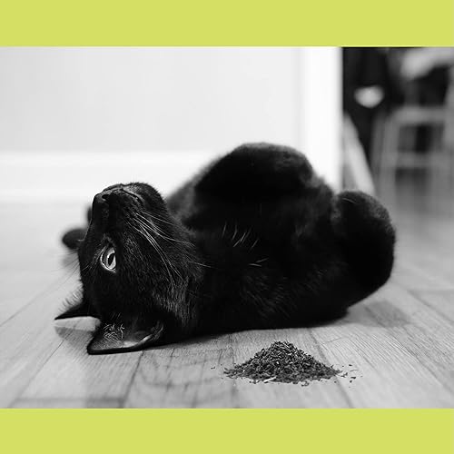 Miniatura 8 de Catnip, hierba gatera totalmente natural prémium (8 oz de corte fino)