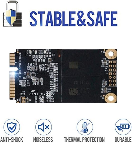 THREE COLOUR DOGFISH Dogfish Msata 128GB内蔵ソリッドステートドライブMini Sata SSDディスク (128GB, MSATA) - 4