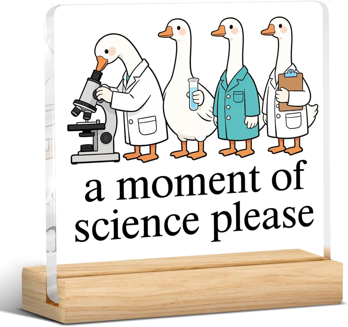 Funny Science Teacher Gifts for Women Men, Scientist Duck Acrylic Sign Desk Decoration, Science Teacher Gift