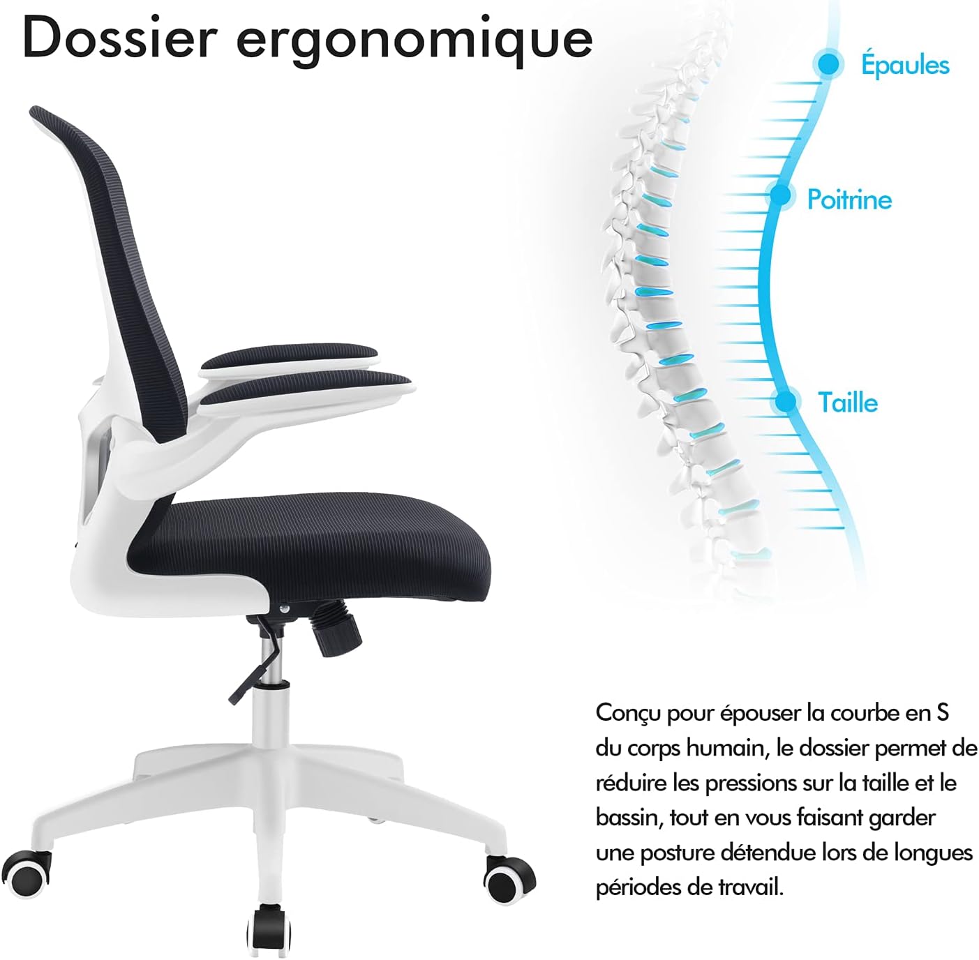 Ergonomic Backrest and Lumbar Support