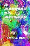 A Meeting of Wizards: Volume 1 (Jono Books) by Mr John A Hosh (2015-04-04)