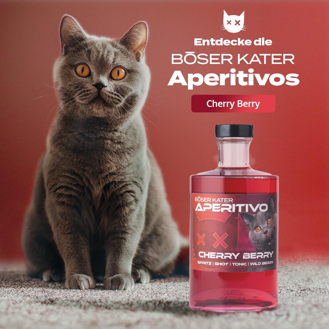 BÖSER KATER Wildberry Eistee Aperitivo Geschenkset mit 2 Gläsern 0,5l | Waldbeeren Frucht Likör | Erfrischender Aperitif | Ideal als Spritz oder Tonic Cocktail | Geschenkidee 15% Vol.