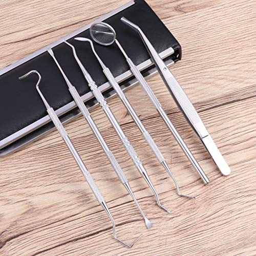 EXCEART Ferramenta Dental Picareta Dental Em AÃ§o InoxidÃ¡vel Fio Dental Conjunto de Ferramentas de