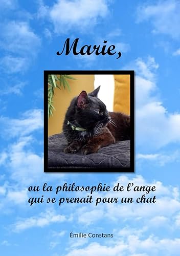 Marie, ou la philosophie de l'ange qui se prenait pour un chat