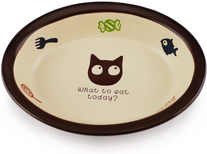 TTCAT Oval Ceramic Cat Food Bowl,Cute Cartoon Pattern, Dog