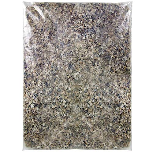 SQUAWK Hen Sized Oyster Shell | Premium Grade Poultry Food Mix | Nutritious Feed for Chicken Hen Animals | Natural Grit Mixture | Improves Digestion, Strong Bones & Beaks and Size of Eggs (1kg)